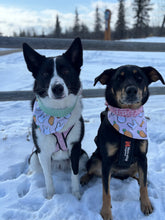 Load image into Gallery viewer, Easter Bunny Cookie Bandanas