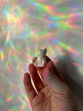 Load image into Gallery viewer, Pocket Pets