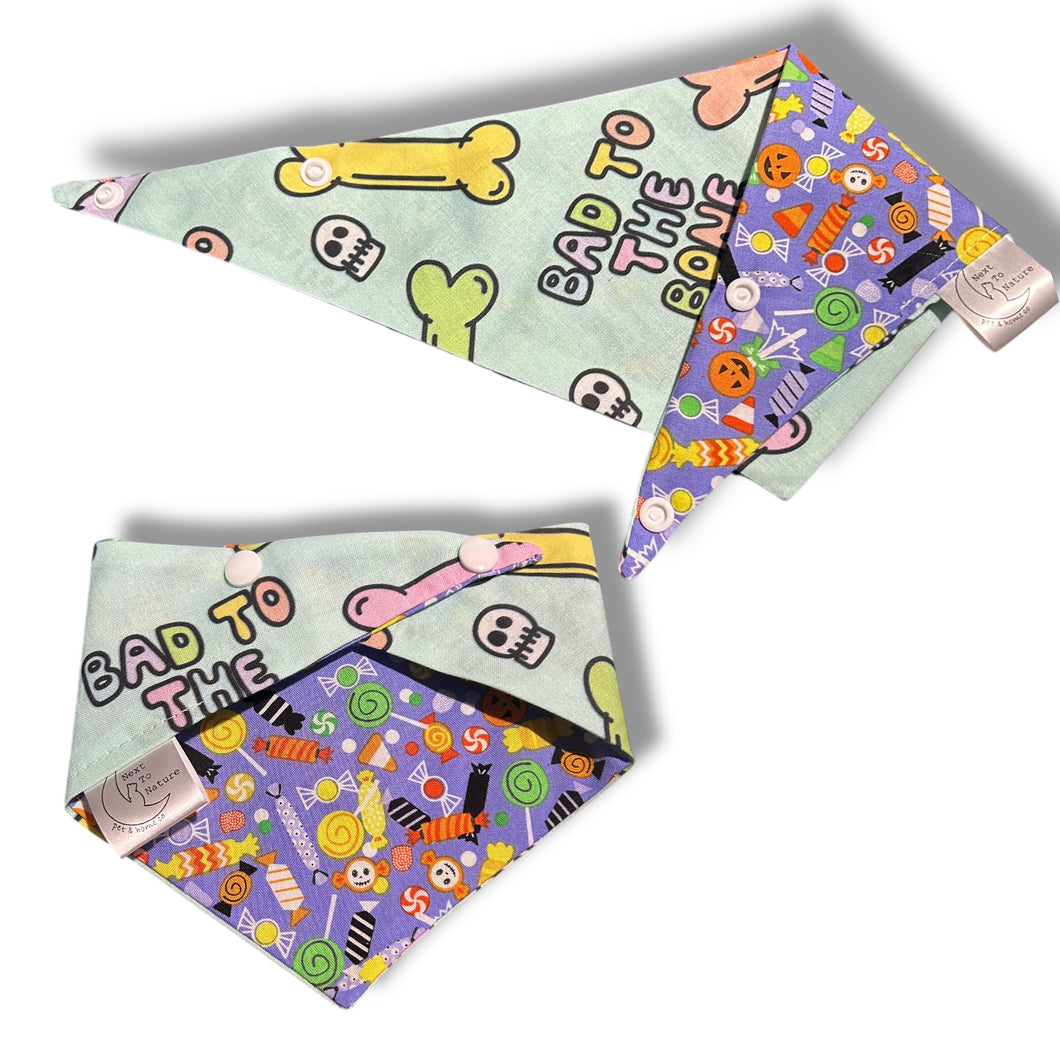 Bad to the Bone pet bandana