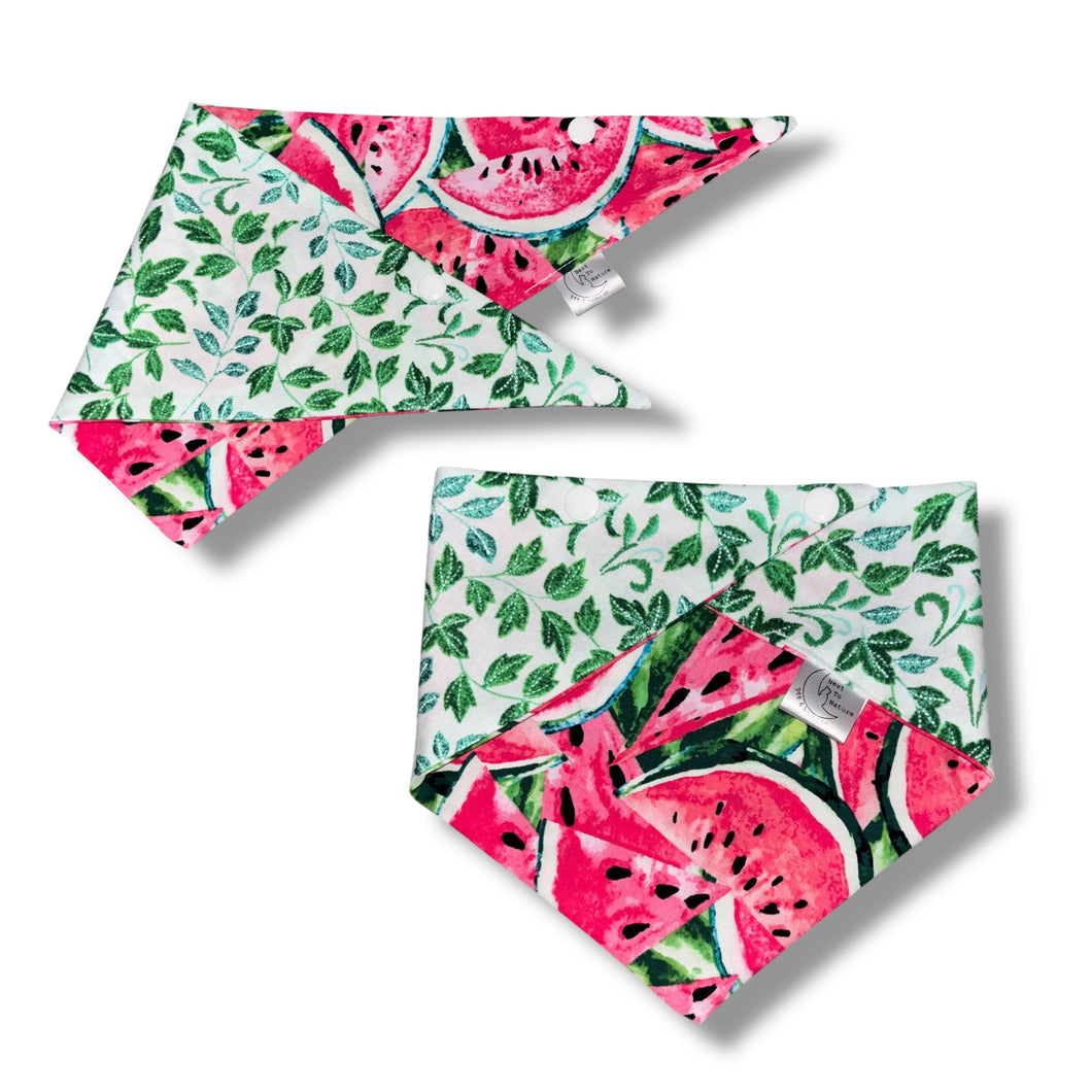 Watwrmelon Patch pet bandana