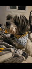 Load image into Gallery viewer, Busy Bee Pet Bandana
