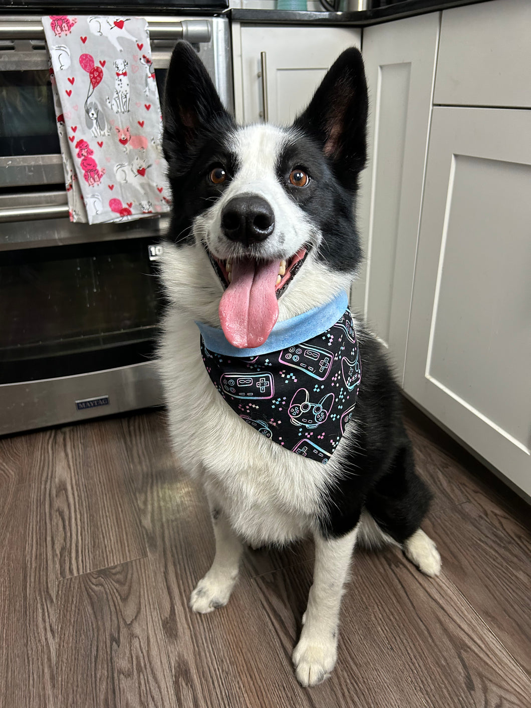 Gamer pet bandana